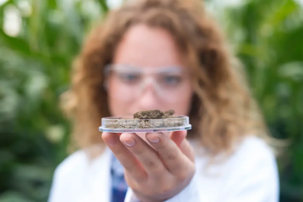 por que fazer uma analise microbiana do solo e como ela impacta a produtividade