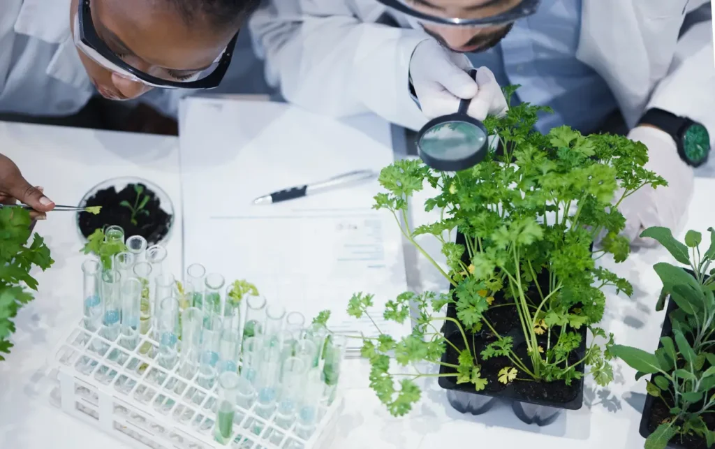15 11 impactos da diversidade microbiana no rendimento das culturas